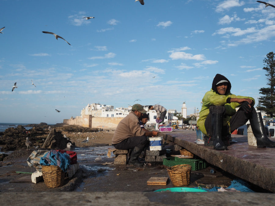 Port de pêche, Essaouira