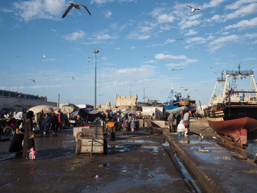 Port de pêche, Essaouira