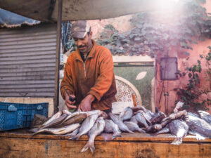 Photographie de voyage, vendeur de poisson © Estelle Hertault