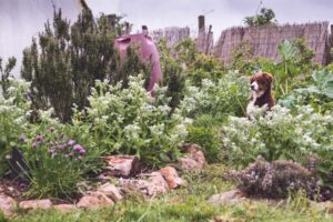 Photographie au jardin, portrait de chien © Estelle Hertault