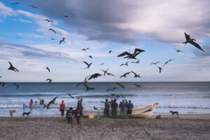 Retour de mer, photographie de pêcheurs dans la région de Oaxaca © Estelle Hertault