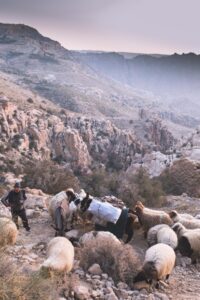 Photo d'un berger lors d'une randonnée dans la vallée de Dana © Estelle Hertault