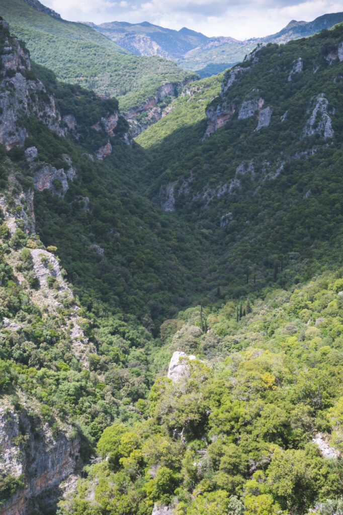 Gorges de Louisios Grèce
