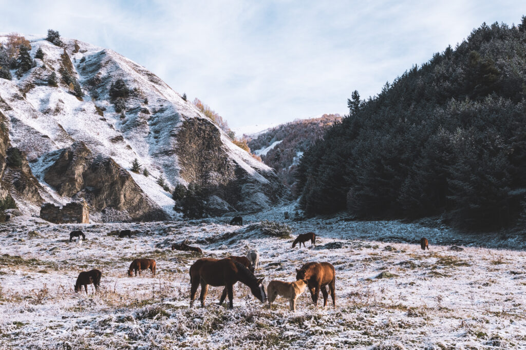 Trek de Mestia à Ushguli