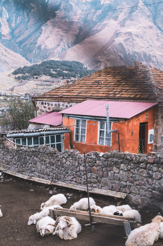 Stepantminda Georgie